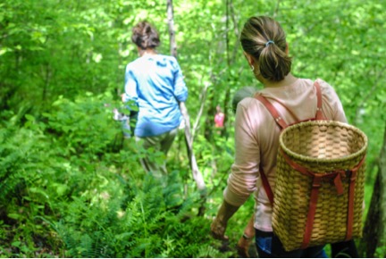 Gathering Herbs