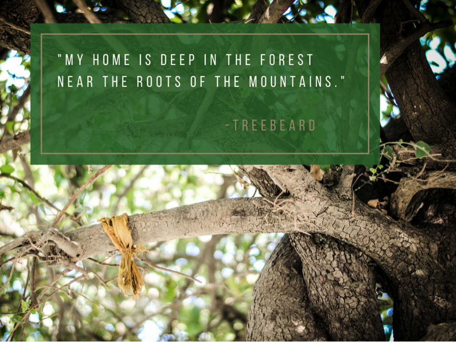 My Home Is Deep in the Forest