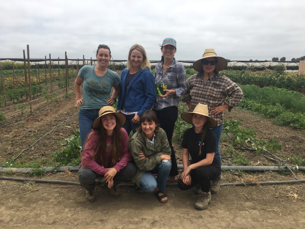 Abundant Table Farmers