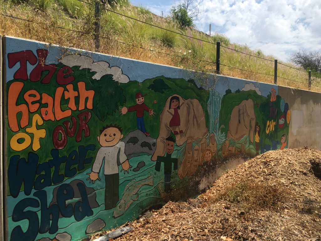 Watershed Mural