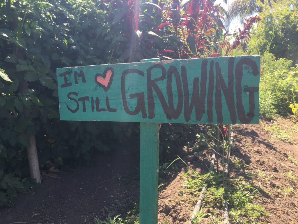 I'm Still Growing Sign