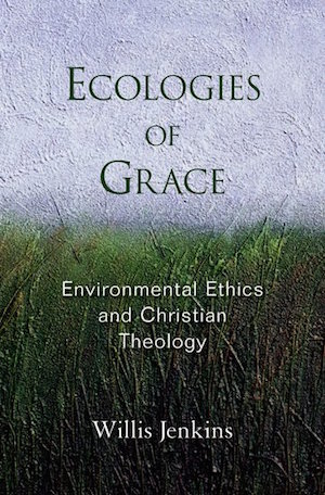 Ecologies of Grace: Environmental Ethics and Christian Theology