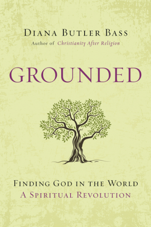 Grounded: Finding God in the World-A Spiritual Revolution