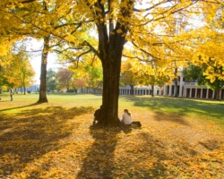 Fall 2023
