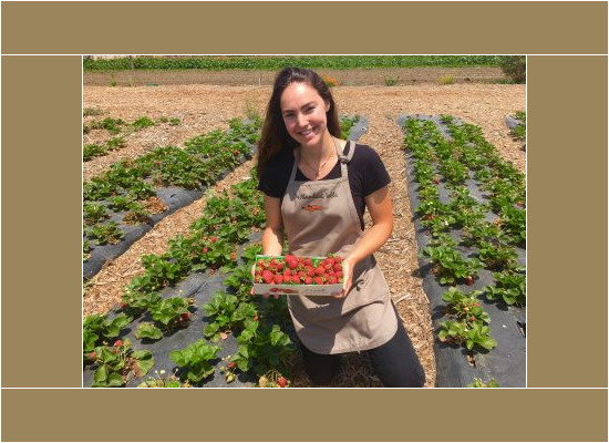 Summer Research Internships